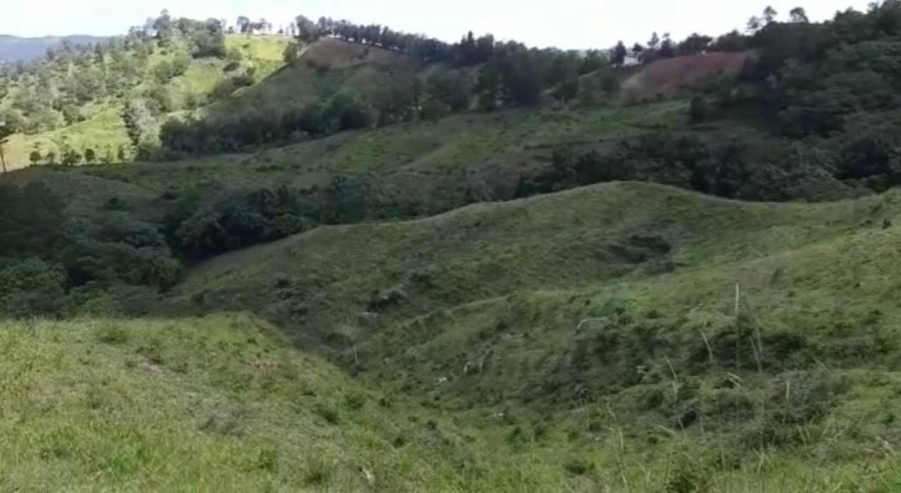 Venta de Productiva Finca con río en Jarabacoa