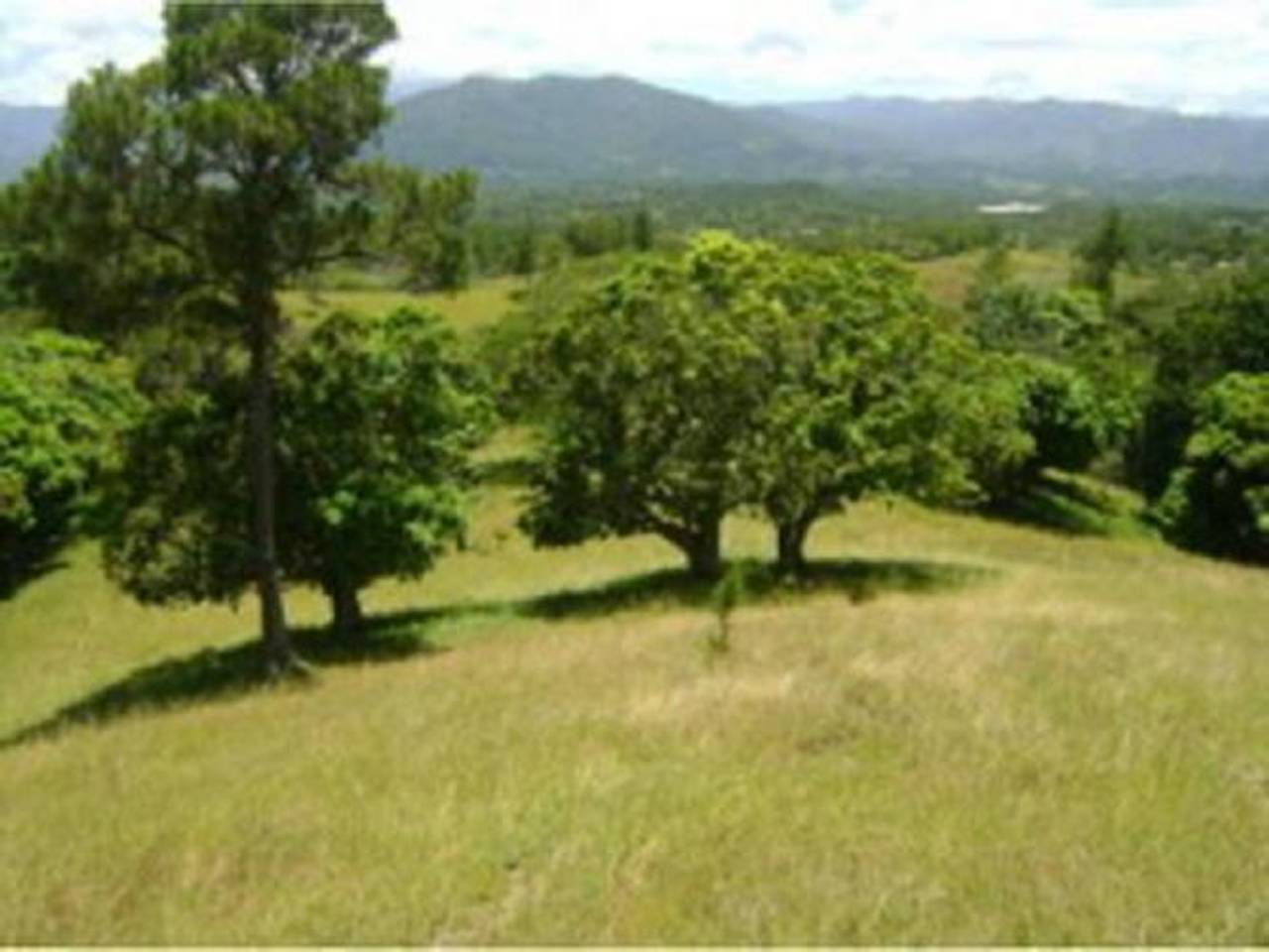 Terrenos en venta en San José De Las Matas