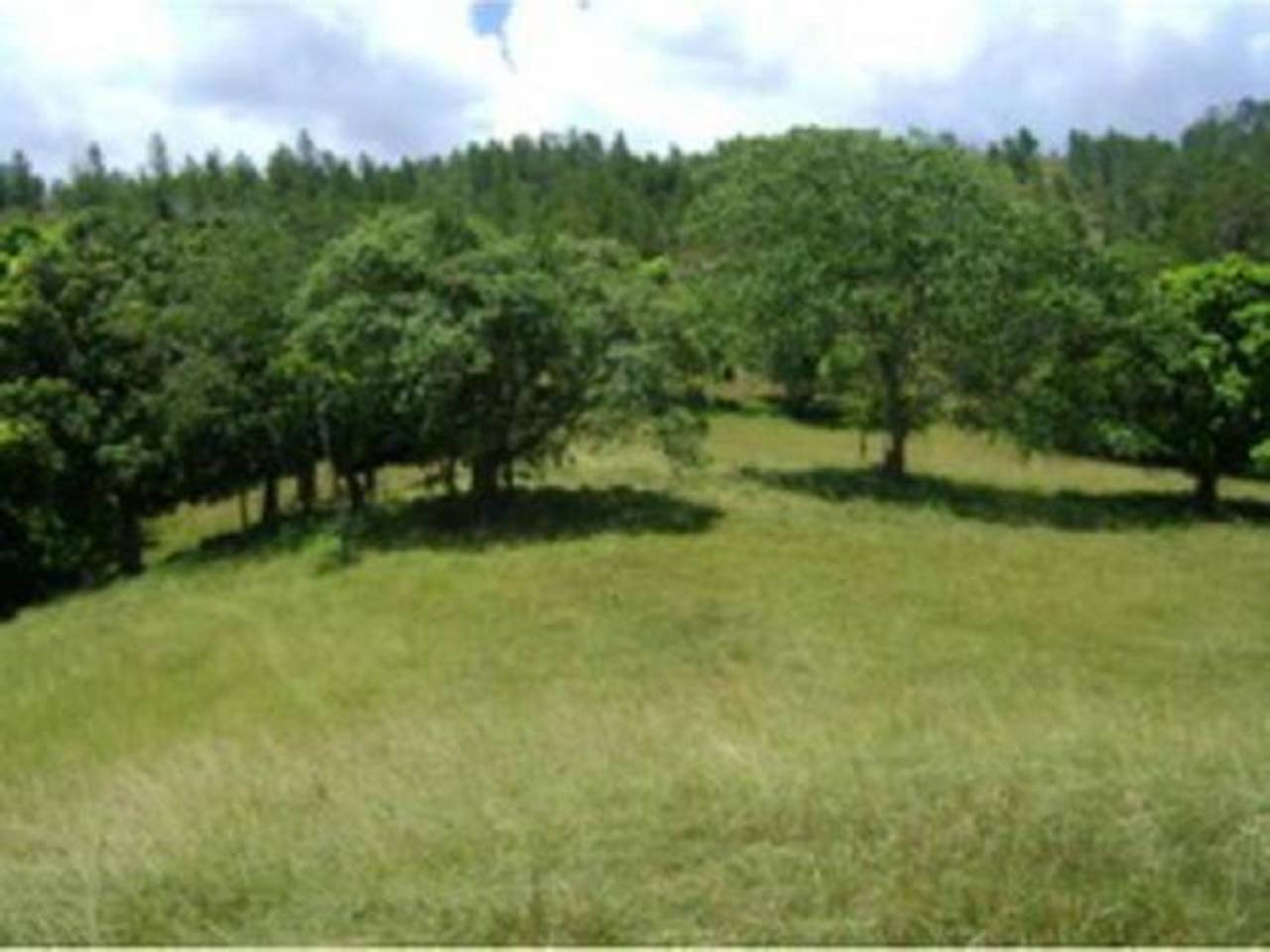 Terrenos en venta en San José De Las Matas