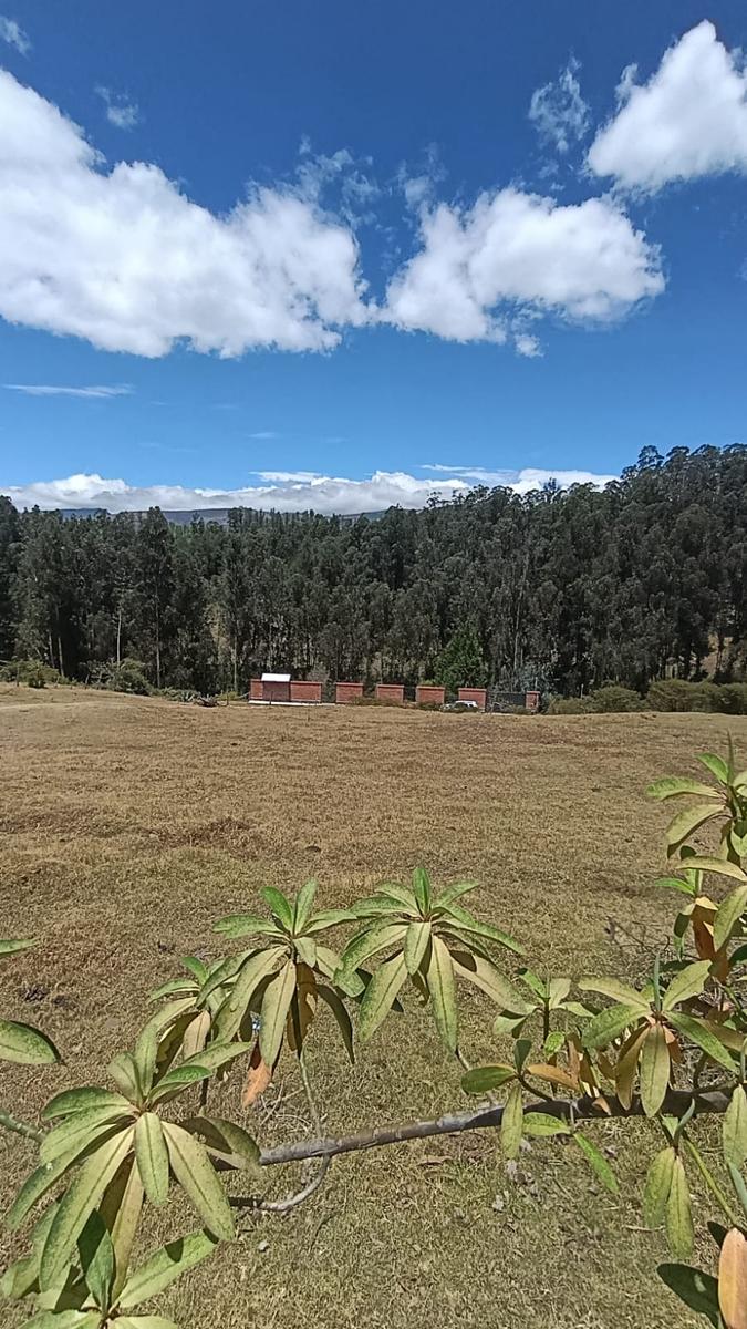 Terreno for sale in Pichincha | Quito | Los Chillos, La Cocha, Sector la Floresta, La Merced, Valle de los chillos