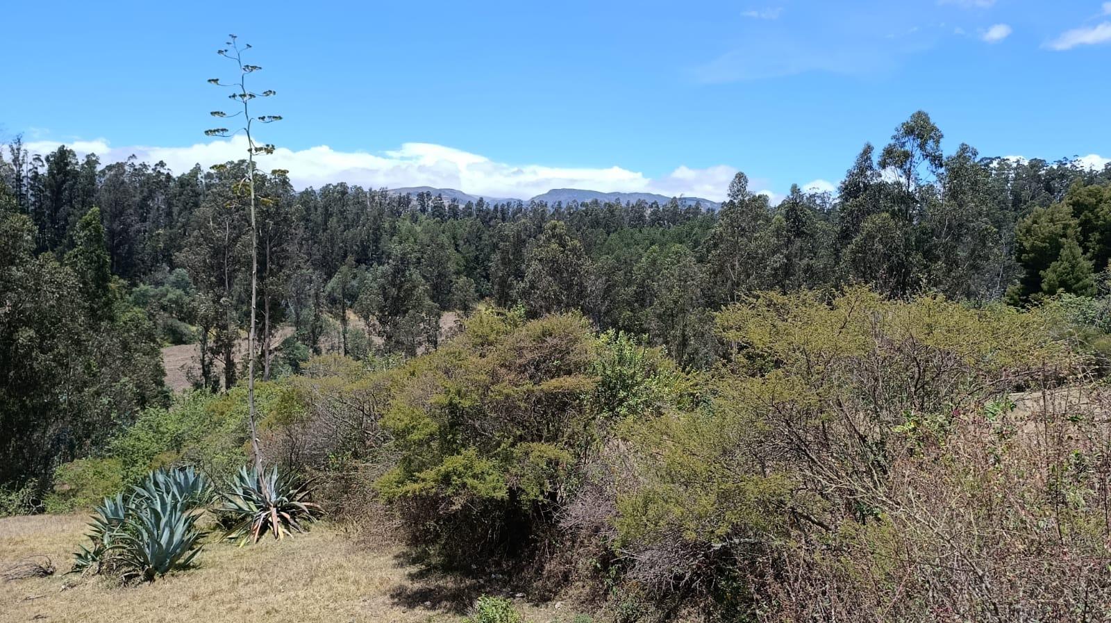 Terreno- lote 3,747 m² Valle de los Chillos