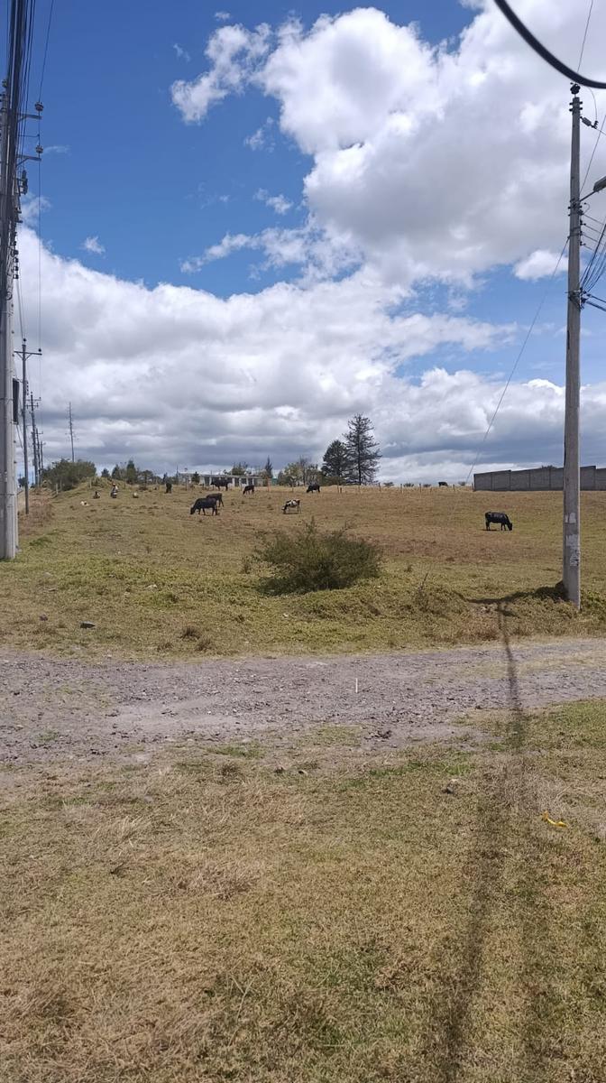 Terreno for sale in Pichincha | Quito | Los Chillos, La Cocha, Sector la Floresta, La Merced, Valle de los chillos