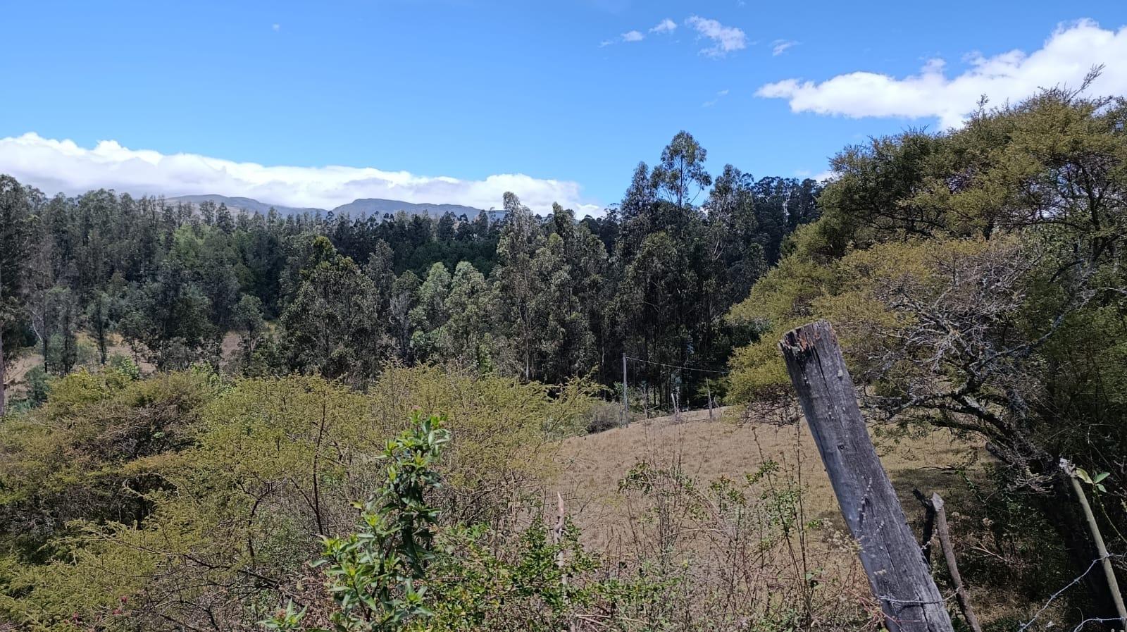 Terreno for sale in Pichincha | Quito | Los Chillos, La Cocha, Sector la Floresta, La Merced, Valle de los chillos