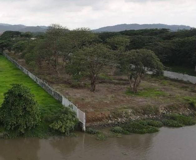Terreno en venta en Ecuador | Guayas | Daule, Avenida León Febres Cordero
