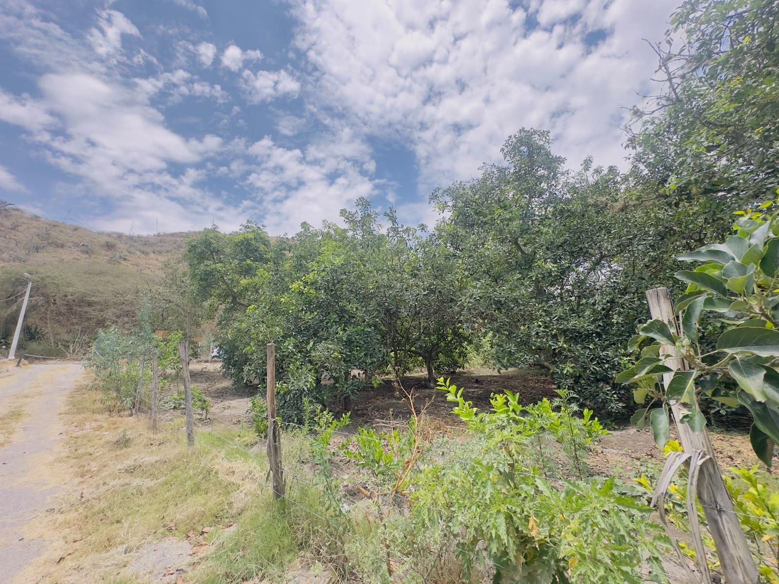 Guayllabamba Sector San Ignacio