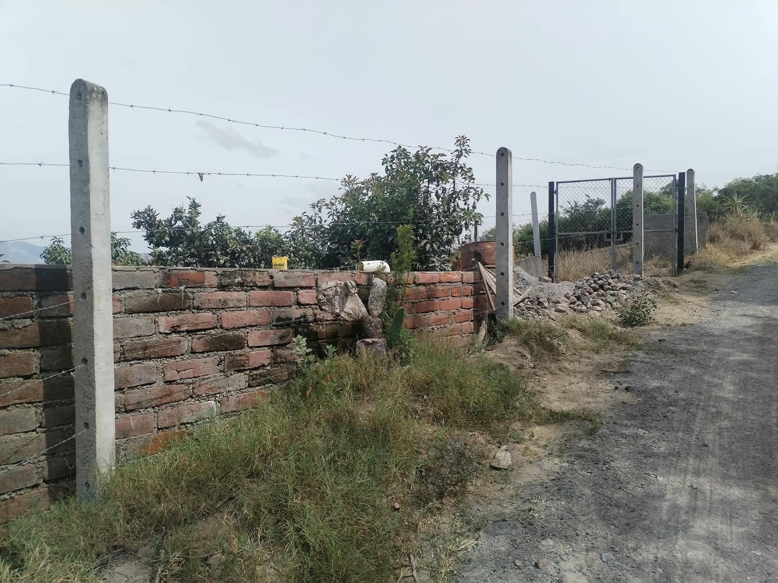 Land/Plot for sale in Pichincha | Quito | Guayllabamba, COOP. AGRICOLA LA SOFIA 4