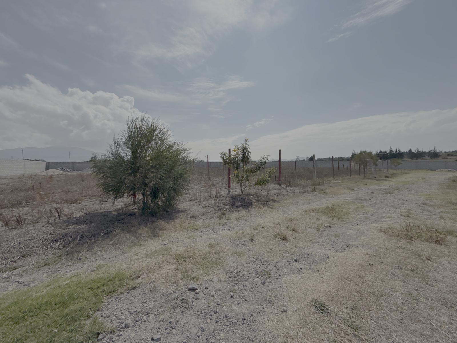 Land/Plot for sale in Pichincha | Pedro Moncayo | Malchinguí, Malchingui - Calle Tambo real