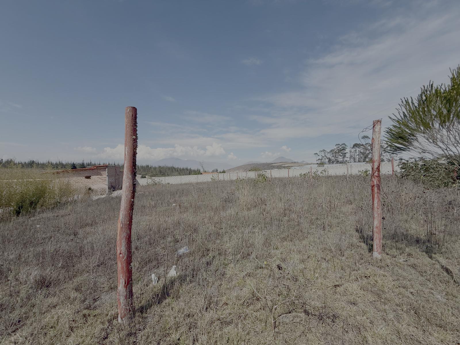 Land/Plot for sale in Pichincha | Pedro Moncayo | Malchinguí, Malchingui - Calle Tambo real