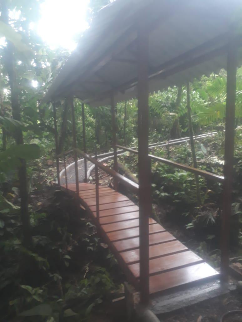 Terreno en venta en Ecuador | Pichincha | Mindo, Pedro Vicente Maldonado