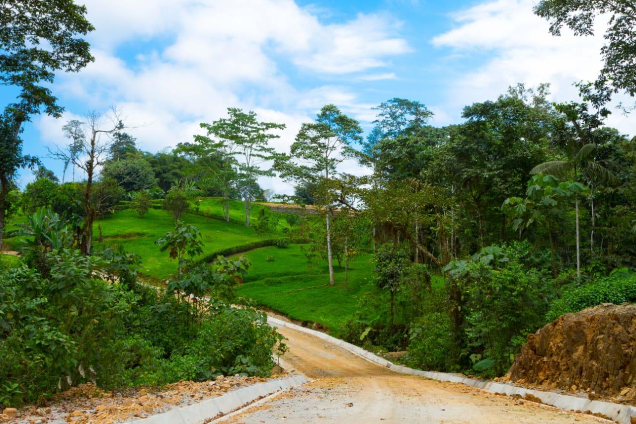 Terreno en venta en Ecuador | Pichincha | Mindo, Pedro Vicente Maldonado