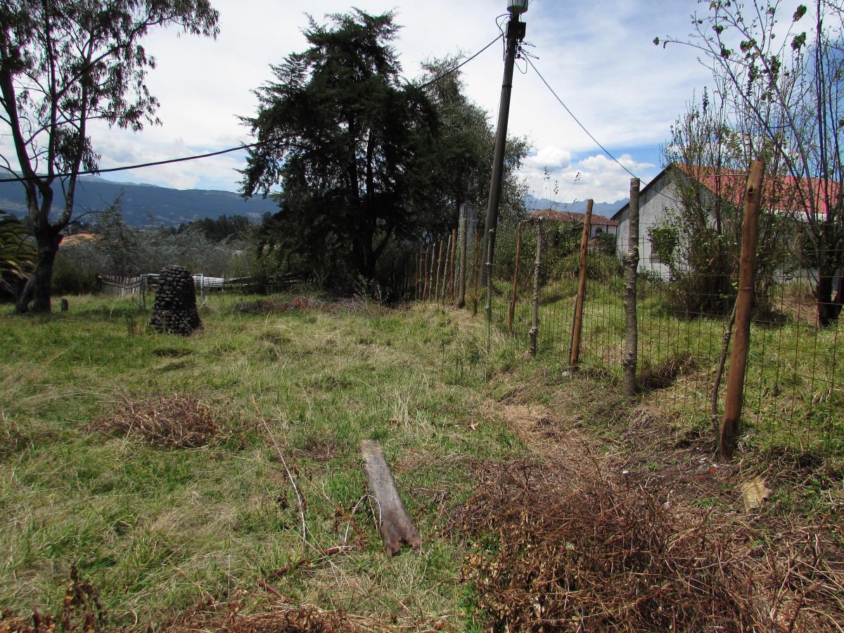 Terreno en venta en Pichincha | Quito | Sangolqui, Calle Machachi - Poncho Verde (171103), Rumiñahui, Pichincha, Ecuador, 5915 m²