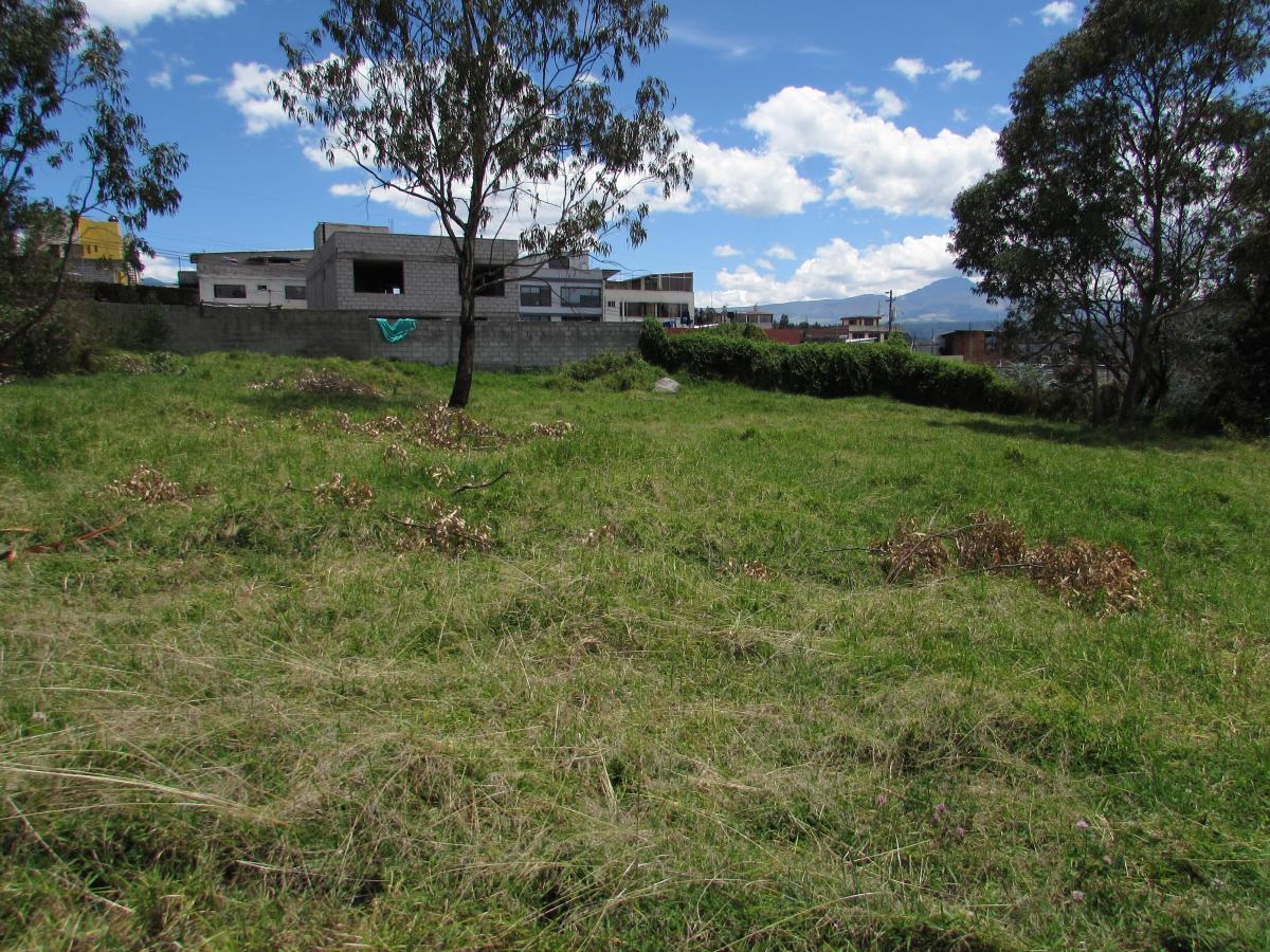 Terreno en venta en Pichincha | Quito | Sangolqui, Calle Machachi - Poncho Verde (171103), Rumiñahui, Pichincha, Ecuador, 5915 m²