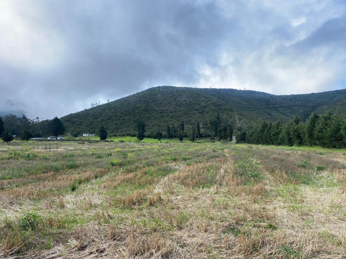 Terreno en venta en Pichincha | Quito | San Antonio, Calacali, 145452 ha