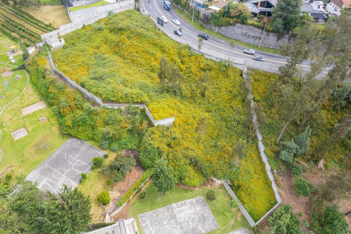 Miravalle 4, Cumbayá Land Sale 3,629M2 2