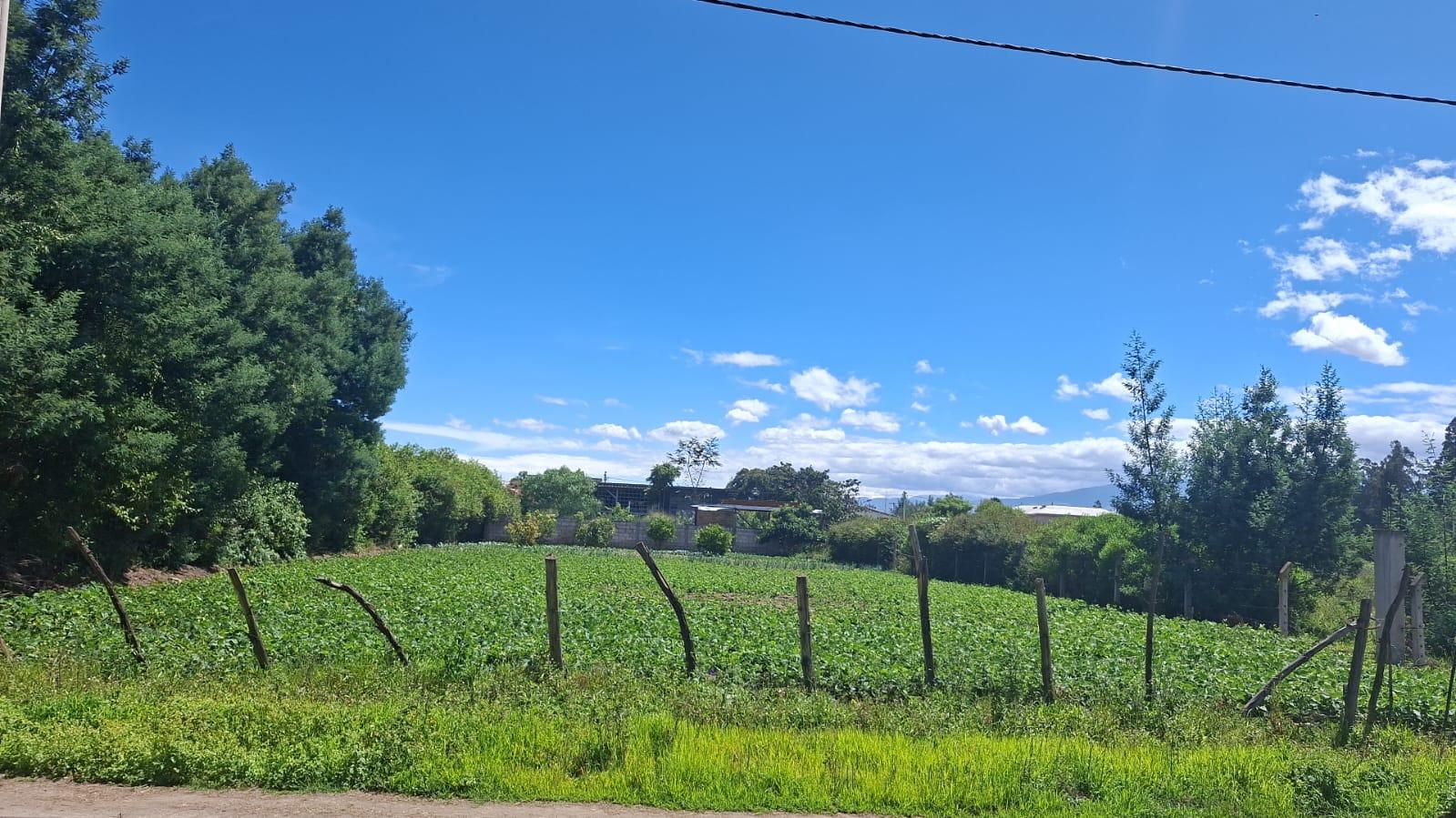 Terreno en venta en Pichincha | Quito | Tababela, Calle Cotopaxi, Tababela