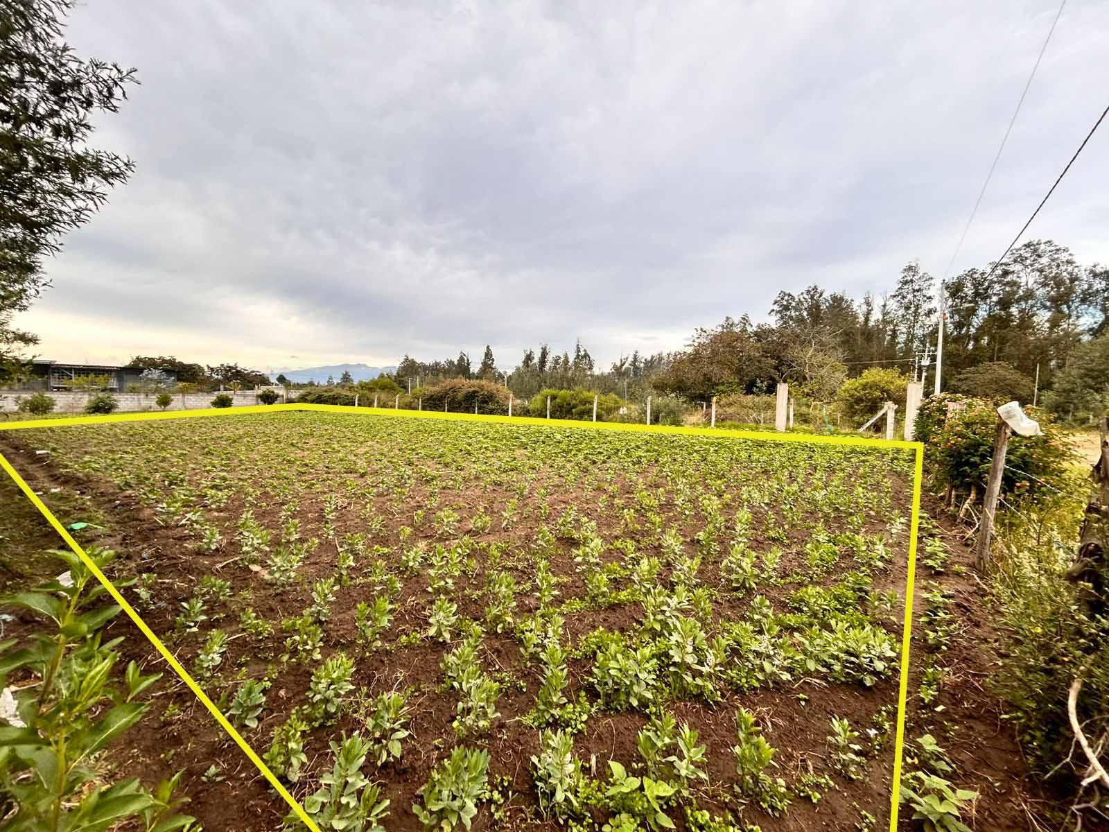 Terreno en venta en Pichincha | Quito | Tababela, Calle Cotopaxi, Tababela