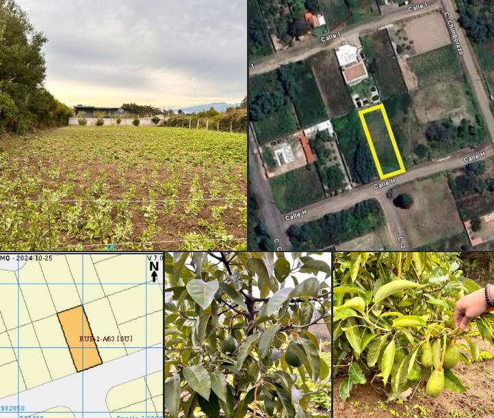 Terreno en venta en Pichincha | Quito | Tababela, Calle Cotopaxi, Tababela