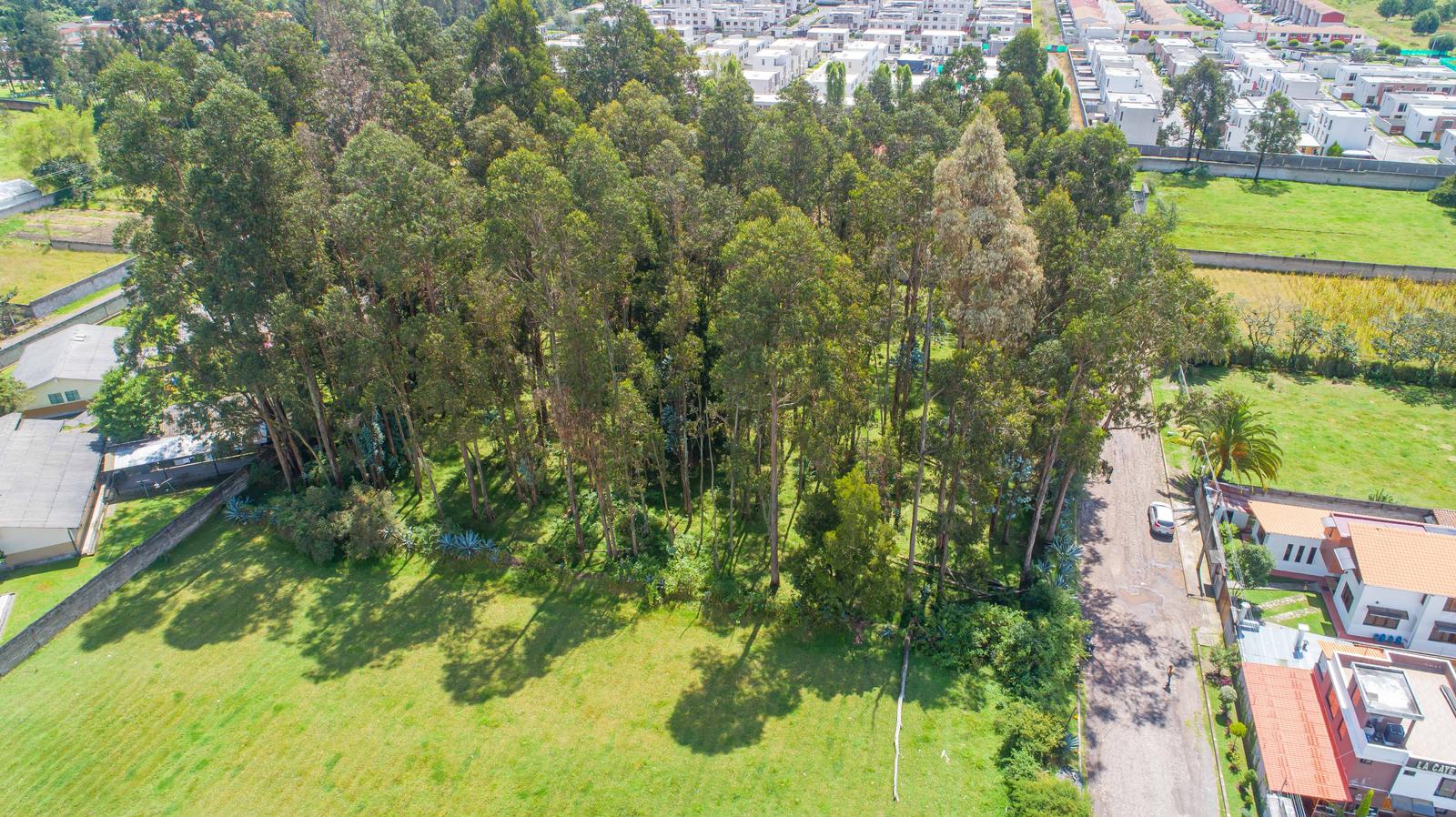 Terreno en venta en Pichincha | Quito | Conocoto, TERRENO EN VENTA  5031 m² - Conocoto