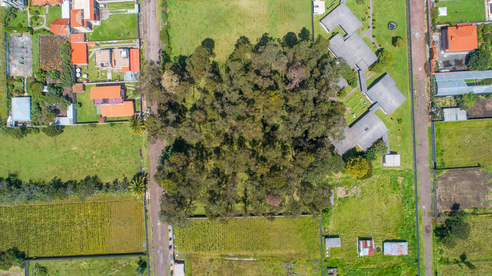Terreno en venta en Pichincha | Quito | Conocoto, TERRENO EN VENTA  5031 m² - Conocoto