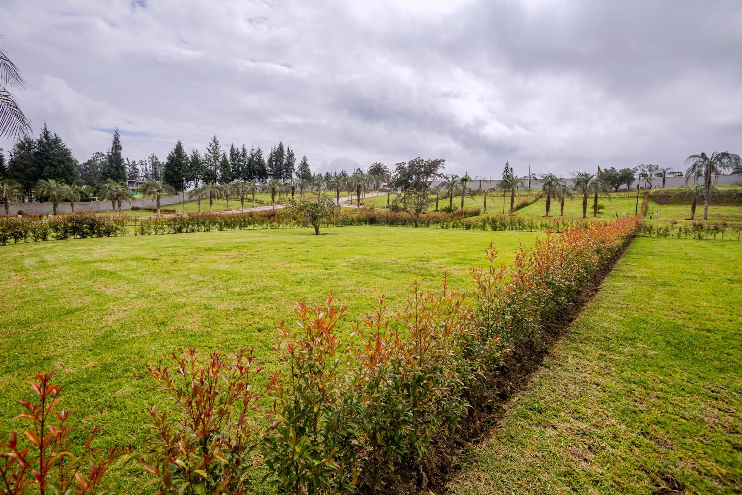 LAND FOR SALE IN PUEMBO ALTO 4