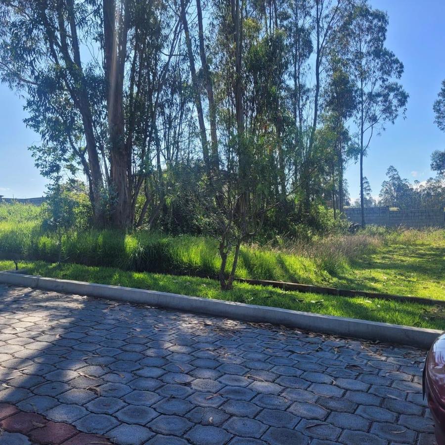 Terreno en venta en Pichincha | Quito | Llano Chico, manuel benitez, 1000 m²
