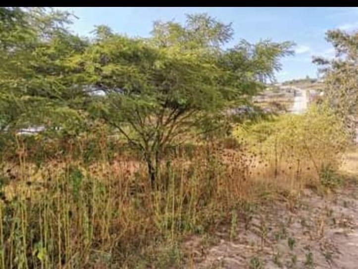 Terreno en venta en Pichincha | Quito | Llano Grande, las tolas , Quito, Pichincha, Ecuador, 988 ha
