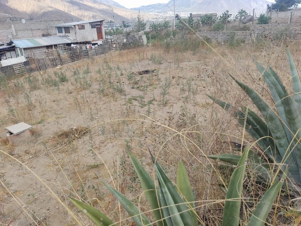 Terreno en venta en Pichincha | Quito | Pomasqui, N5G Y ALONDRAS 55 (170308), Quito, Pichincha, Ecuador, 365 ha