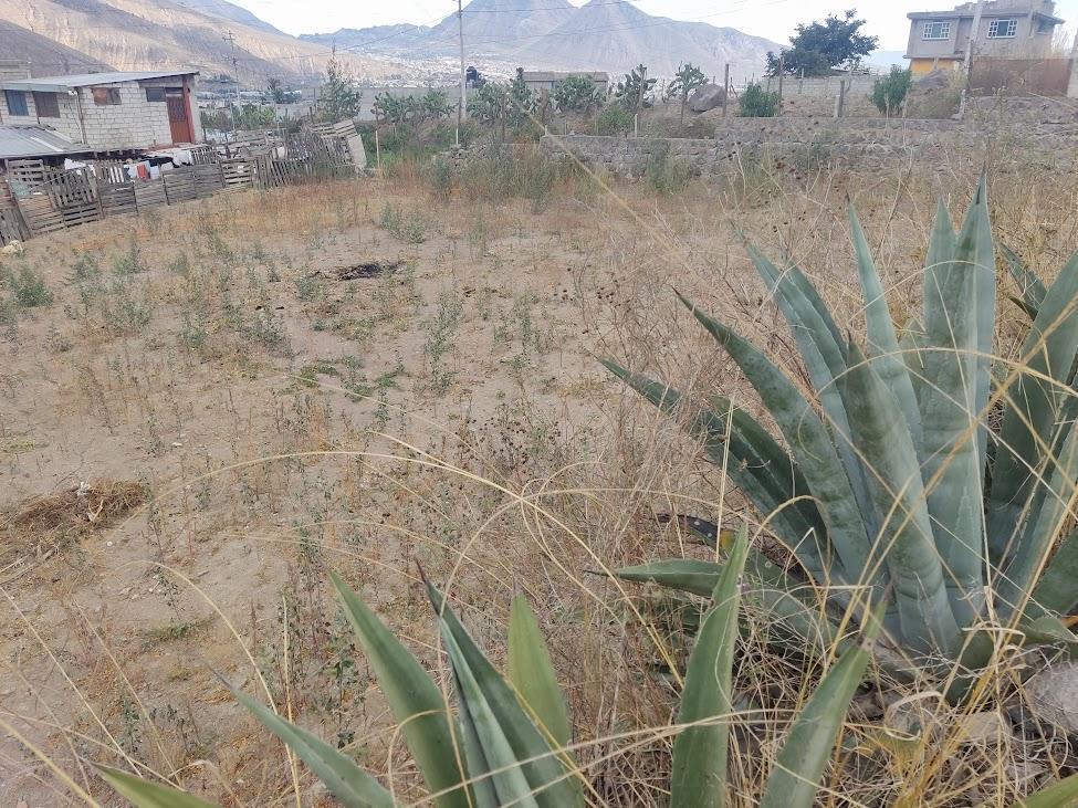 Terreno en venta en Pichincha | Quito | Pomasqui, N5G Y ALONDRAS 55 (170308), Quito, Pichincha, Ecuador, 365 ha