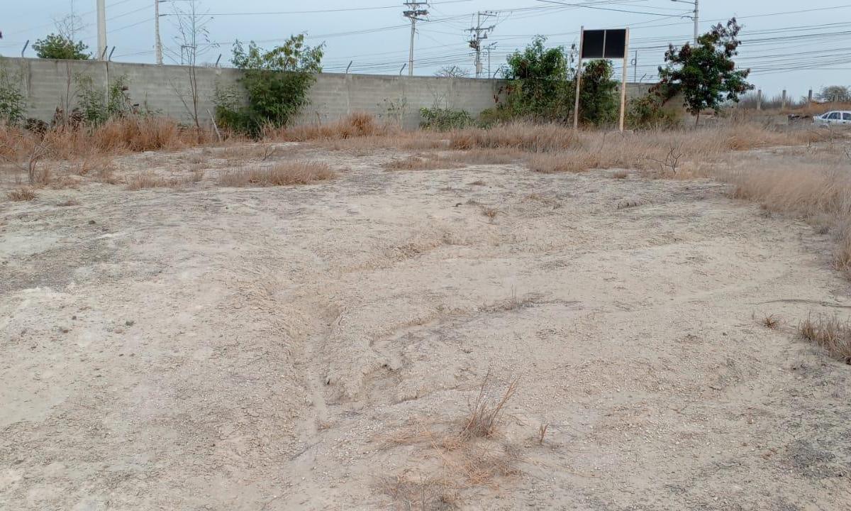 BEAUTIFUL PROPERTY ON SALE ON THE MANTA ROCAFUERTE ROAD (500m2) 5