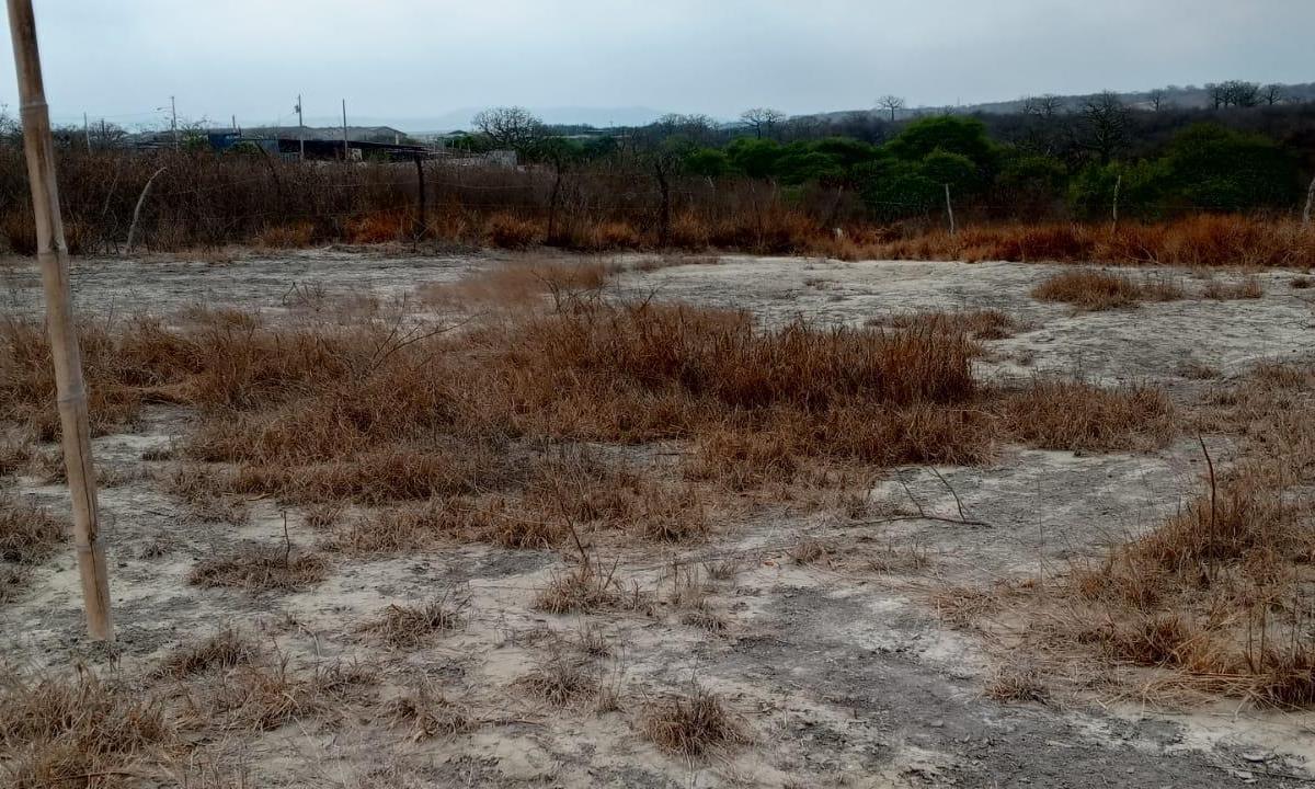 BEAUTIFUL PROPERTY ON SALE ON THE MANTA ROCAFUERTE ROAD (500m2) 3