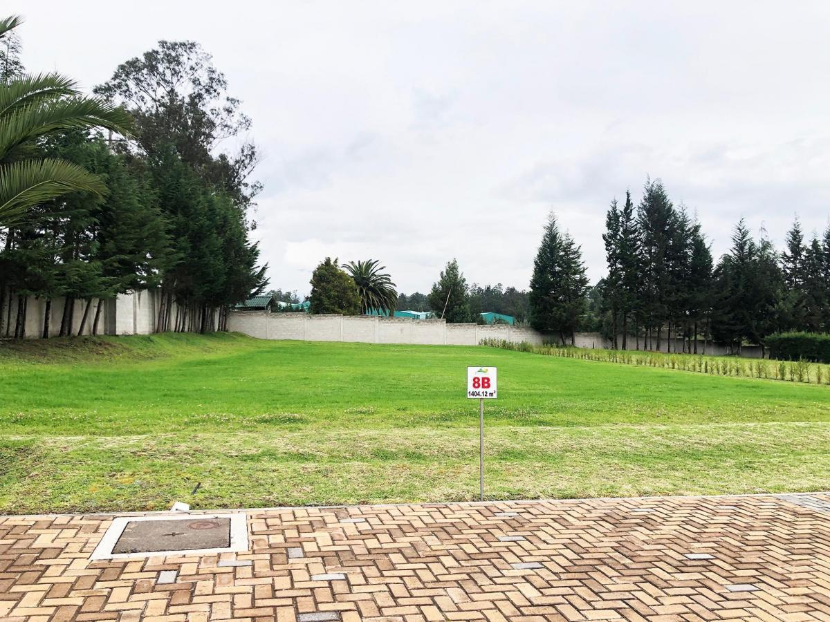 LAND FOR SALE / SINGLE-FAMILY / PUEMBO / PIFO / CHAUPIMOLINO 5