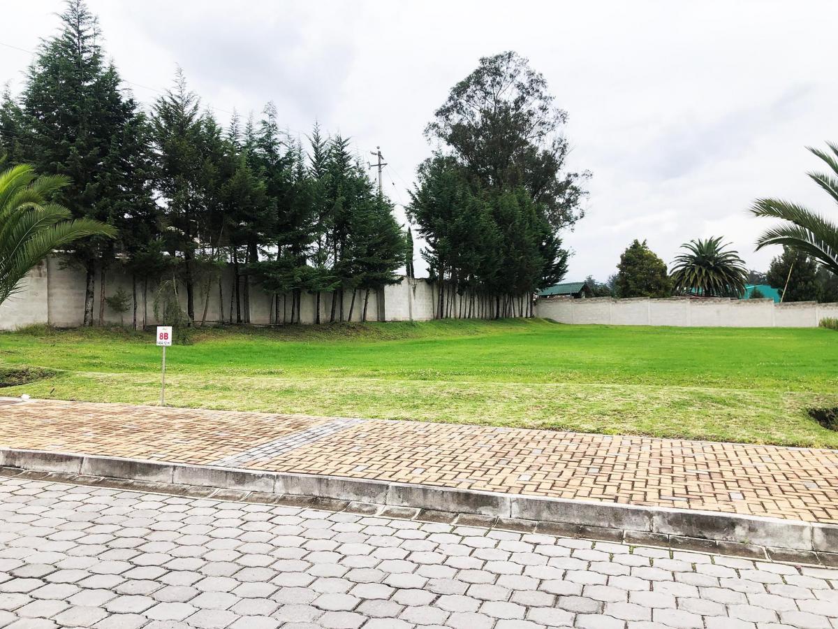 Terreno en venta en Pichincha | Quito | Puembo, Manuel Burbano, Puembo, Ecuador, 1246 m²