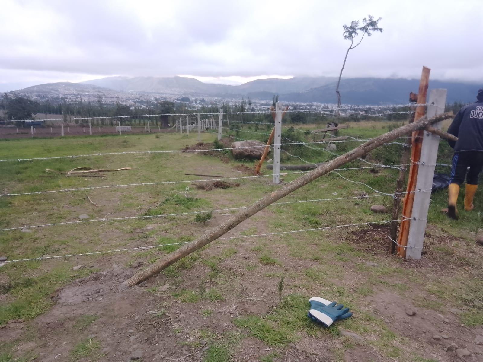 Terreno en venta en Ecuador | Imbabura | Ibarra, Parroquia Caranqui -sector la Palestina