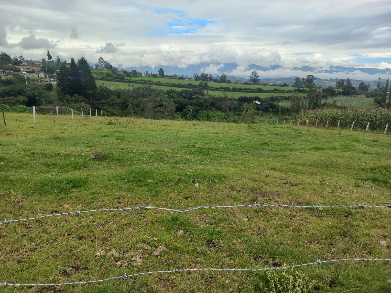 Terreno en venta en Ecuador | Imbabura | Ibarra, Parroquia Caranqui -sector la Palestina