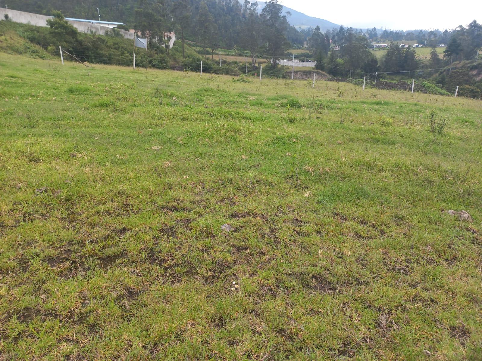 Terreno en venta en Ecuador | Imbabura | Ibarra, Parroquia Caranqui -sector la Palestina