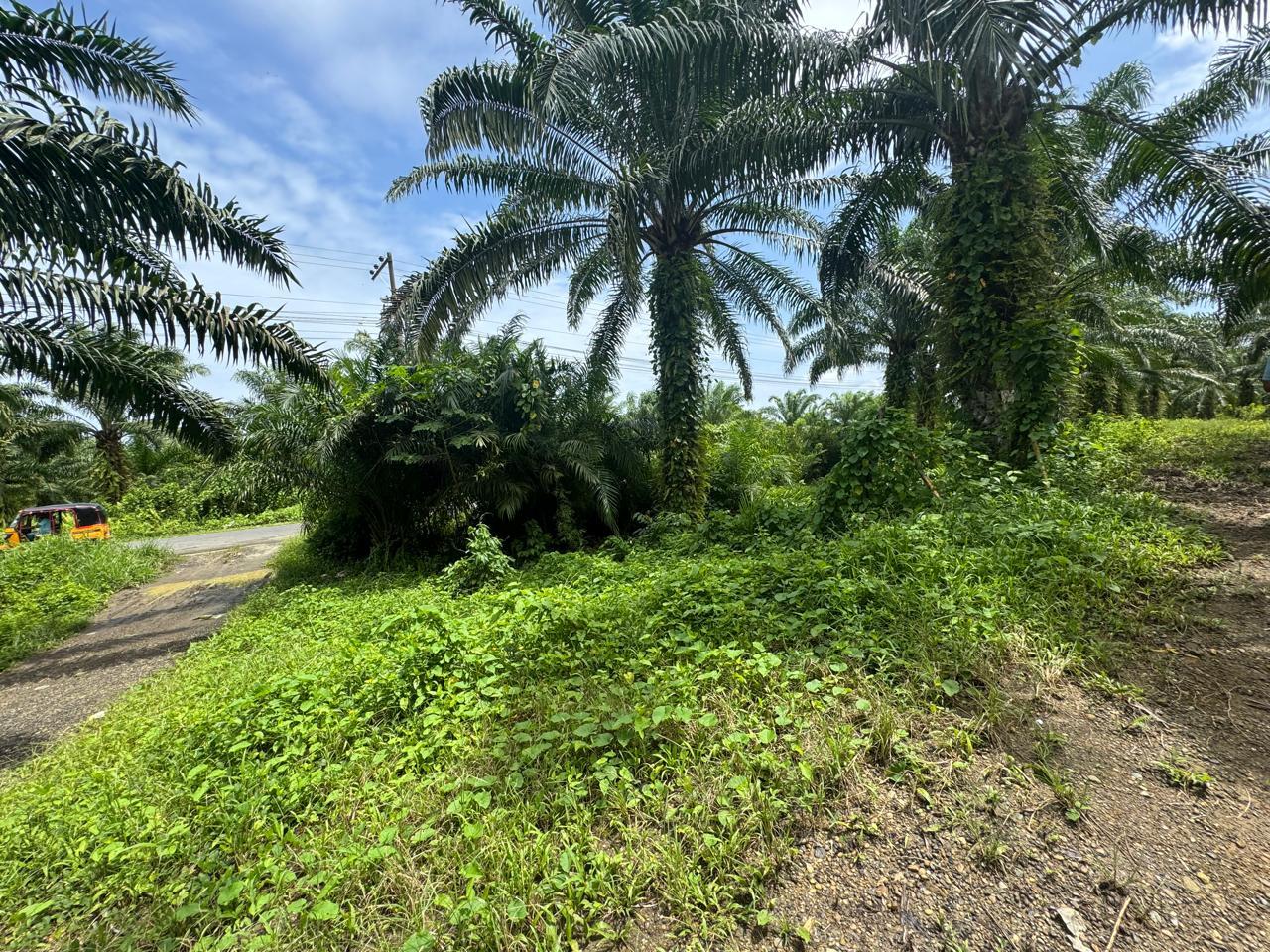 Finca en venta en Ecuador | Esmeraldas | Muisne, Vía San Francisco Km 2, Bunche