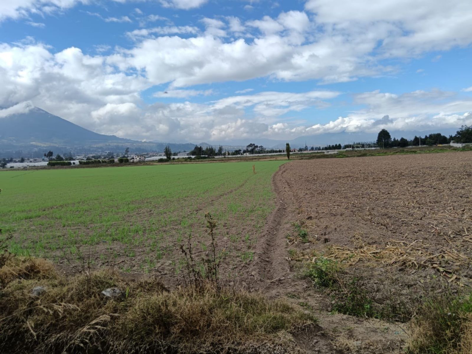 Terreno en venta en Imbabura | Antonio Ante | Atuntaqui, Atuntanqui 2, 500 m²