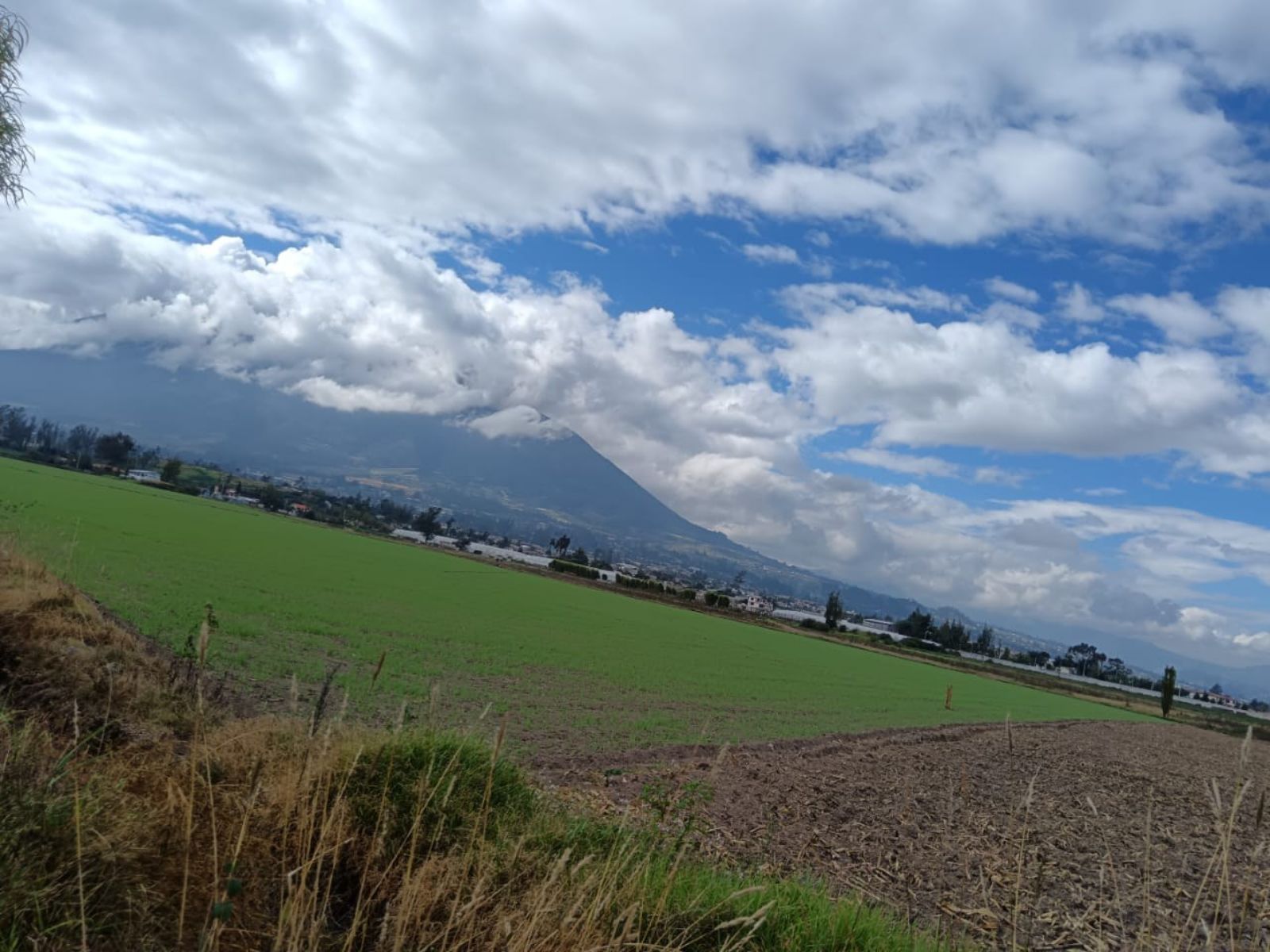 Terreno en venta en Imbabura | Antonio Ante | Atuntaqui, Atuntanqui 2, 500 m²