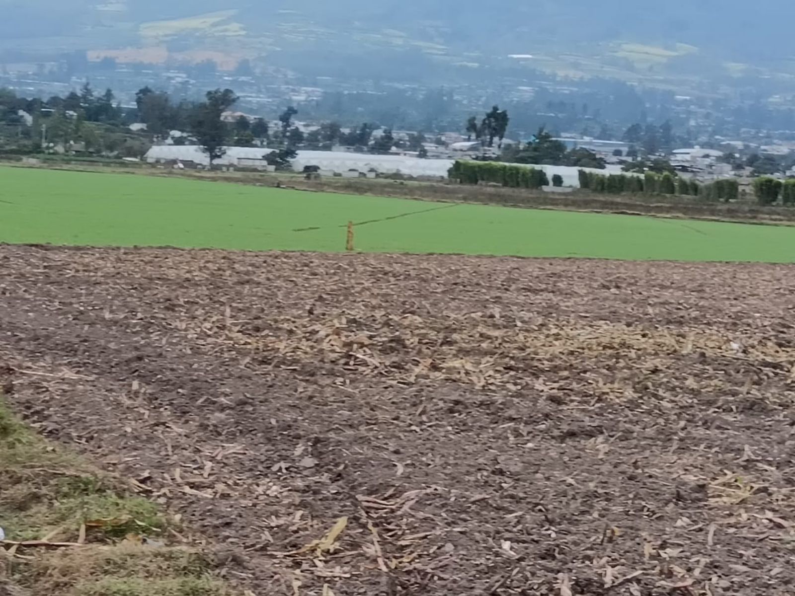Terreno en venta en Imbabura | Antonio Ante | Atuntaqui, Atuntanqui 2, 500 m²