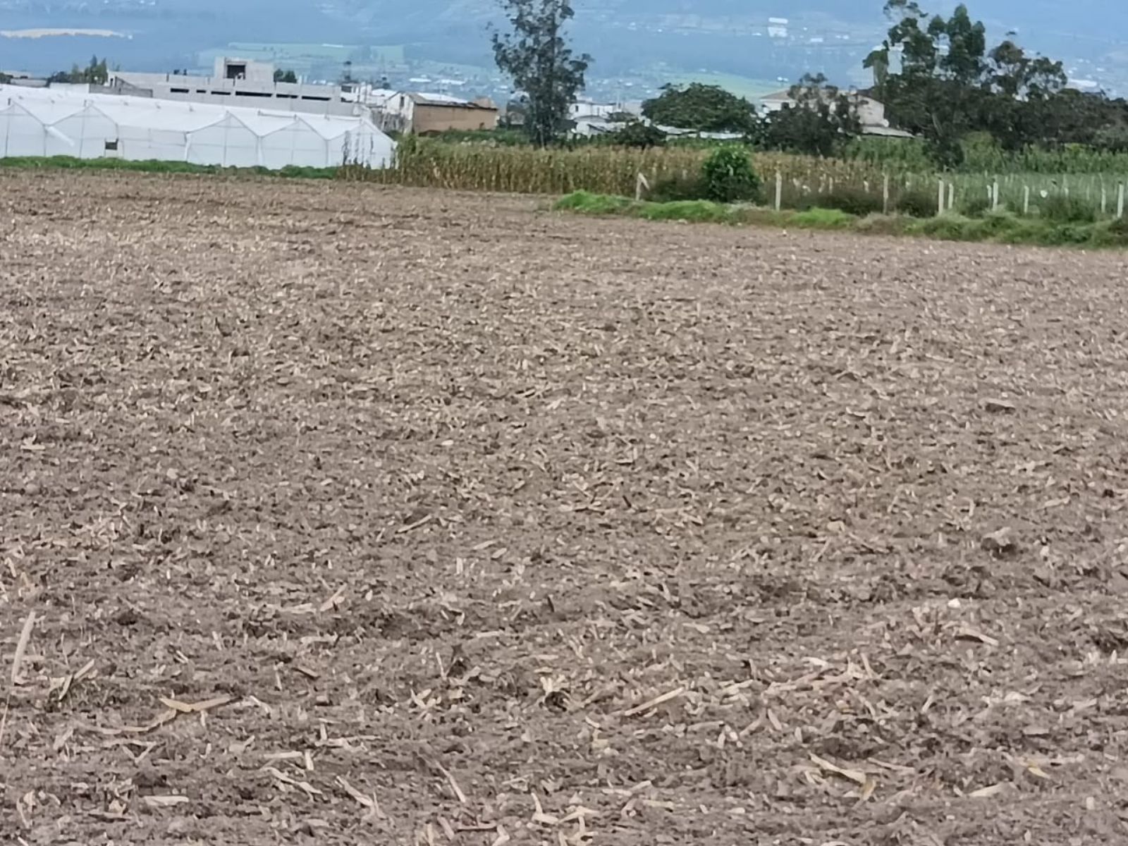 Terreno en venta en Imbabura | Antonio Ante | Atuntaqui, Atuntanqui 2, 500 m²