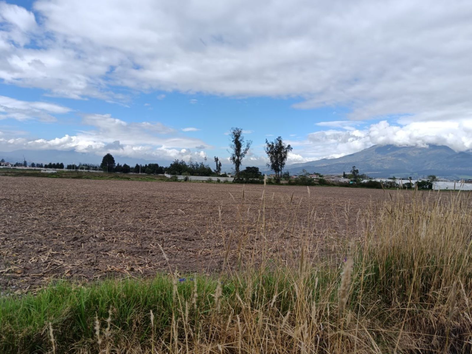 Terreno en venta en Imbabura | Antonio Ante | Atuntaqui, Atuntanqui 2, 500 m²