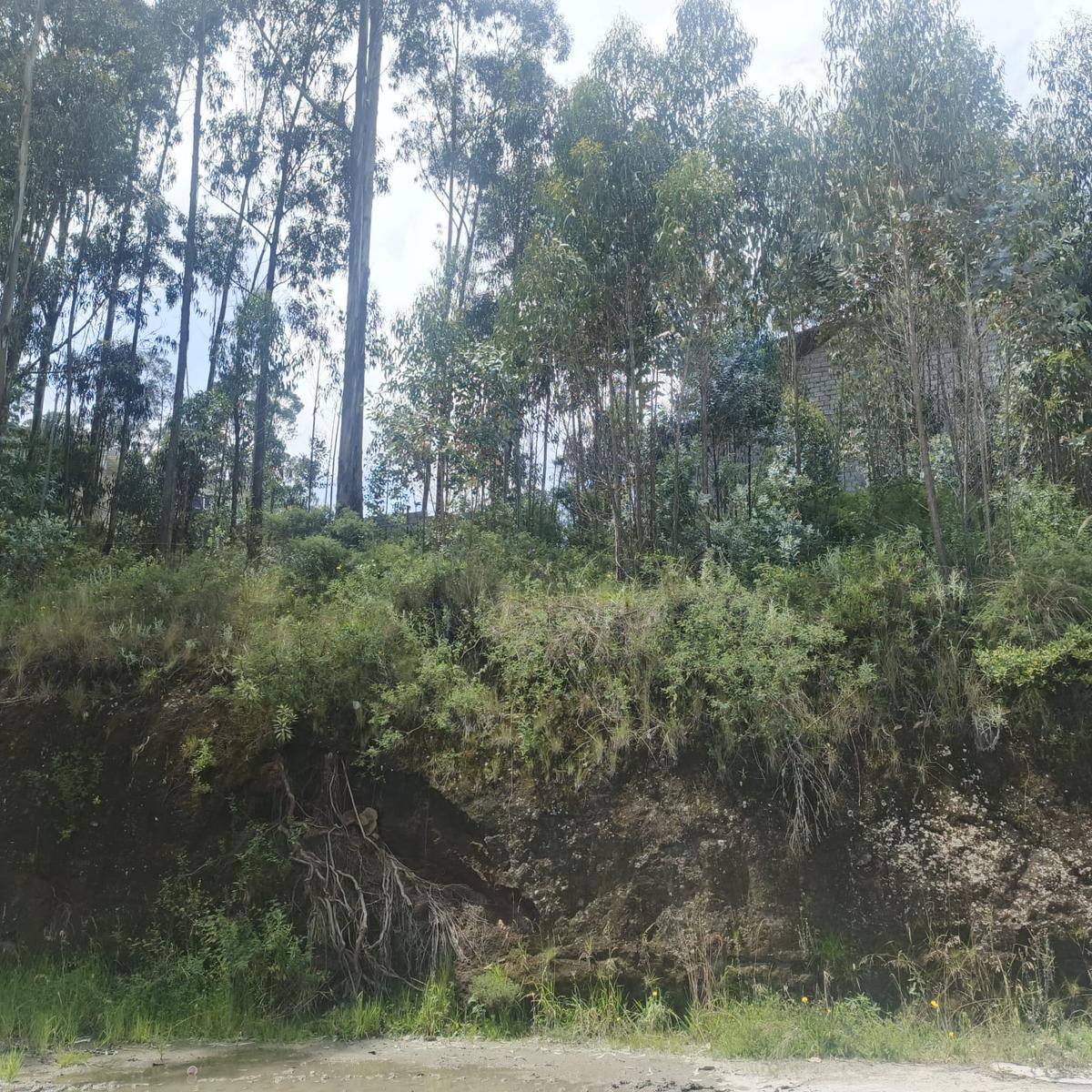 Terreno en venta en Pichincha | Quito | Comité del Pueblo, Chediak y Eloy Alfaro