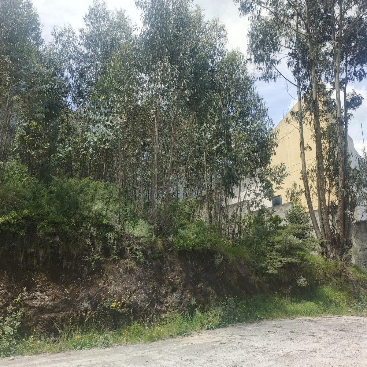 Terreno en venta en Pichincha | Quito | Comité del Pueblo, Chediak y Eloy Alfaro