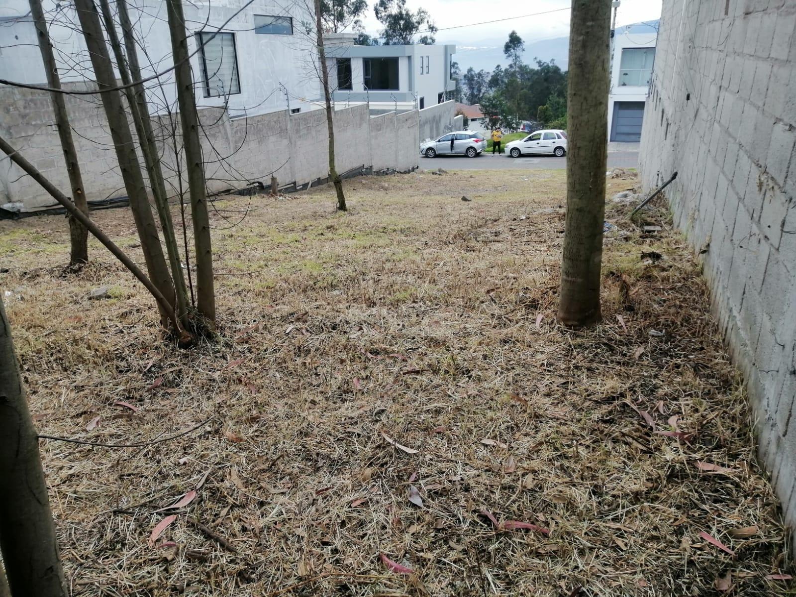 Terreno en venta en Pichincha | Quito | El Inca, AMAGASI DEL INCA