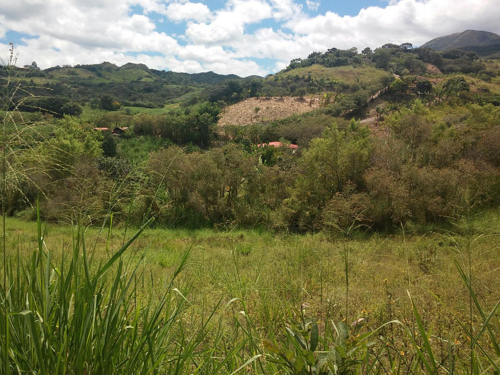 Terreno en venta en Loja | Loja | Sur de Loja, La Granja, Malacatos, Loja, 115 m²