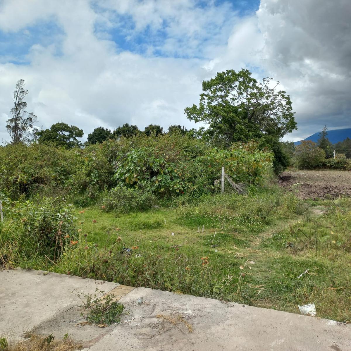 Terreno en venta en Imbabura | Antonio Ante | Atuntaqui, CALLE CUENCA Y SUCRE 477 al 400