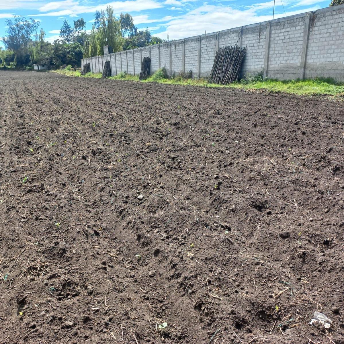 Terreno en venta en Imbabura | Antonio Ante | Atuntaqui, CALLE CUENCA Y SUCRE477 al 400
