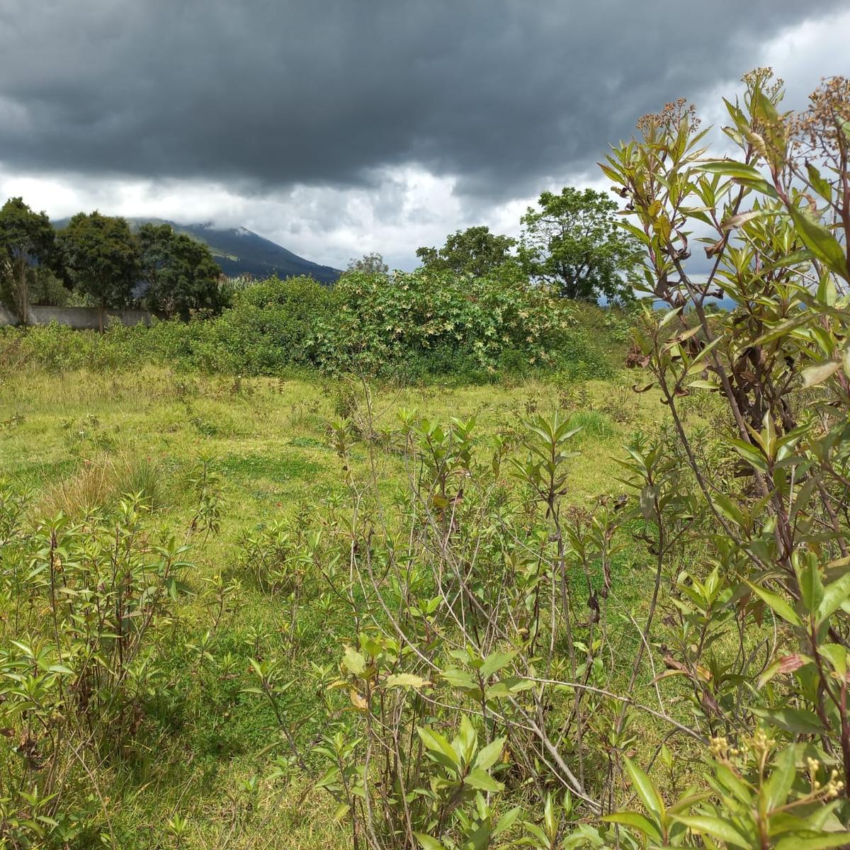 Land in Atuntaqui