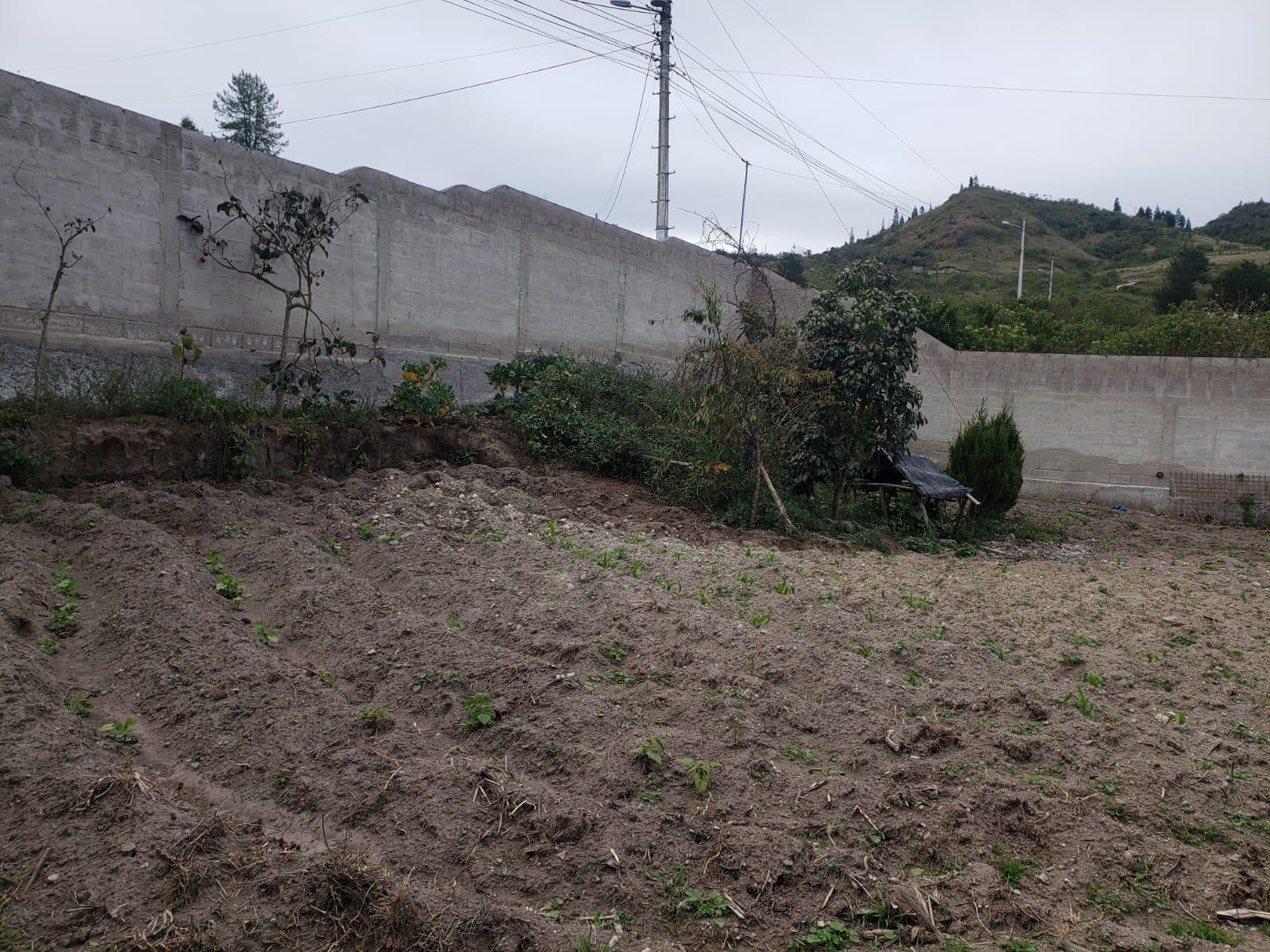 Land for Sale at Mitad del Mundo Pululahua with All Services 5
