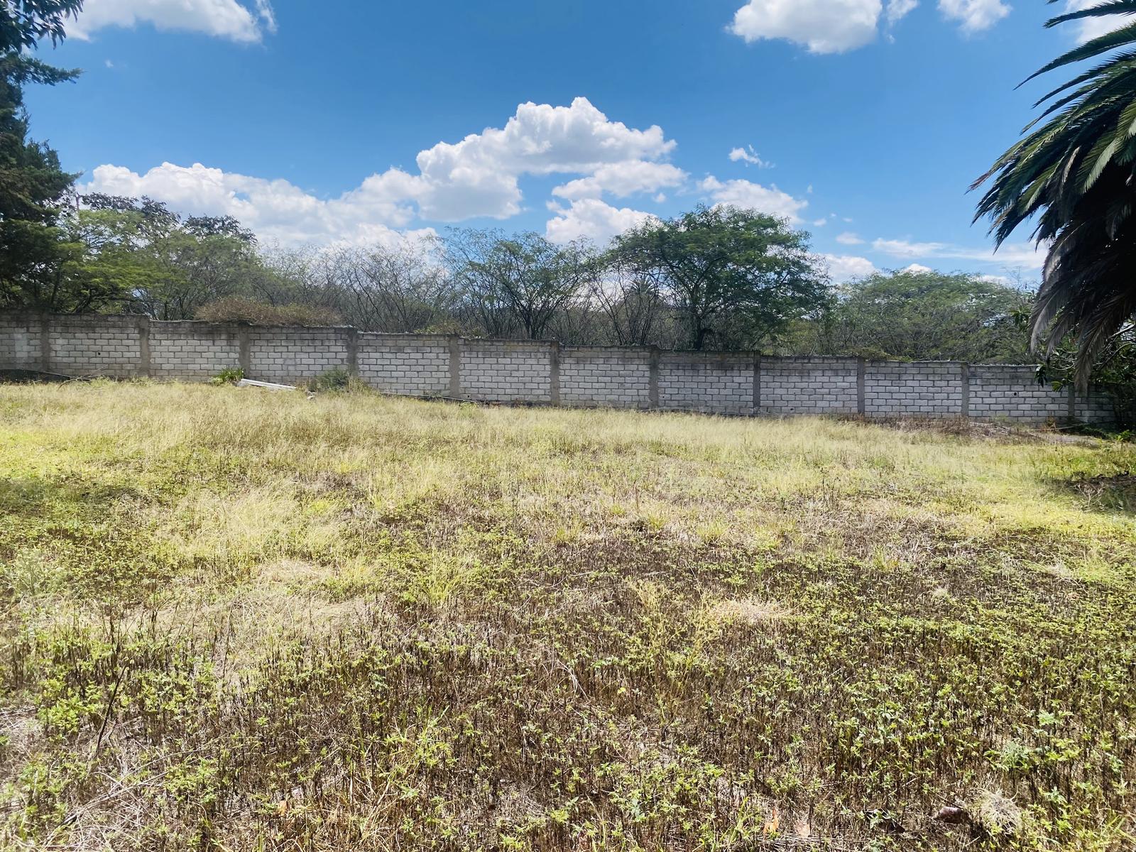 Terreno en venta en Pichincha | Quito | Tumbaco, Terreno Calle Jama OE2 - 4331, 265 m²